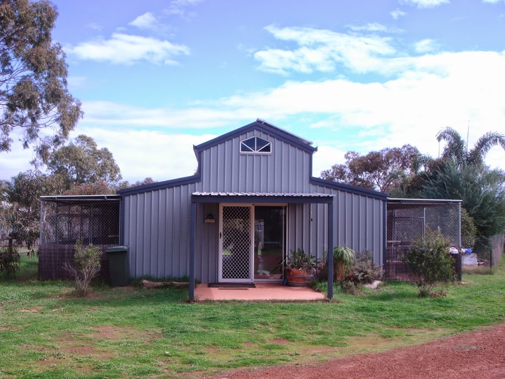 Catopia Boarding Cattery | 23B, Ridley Rd, Geraldton WA 6530, Australia | Phone: 0448 553 443