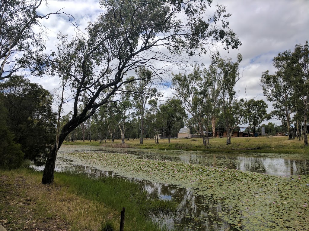 Dogwood Creek Walking Track | Miles QLD 4415, Australia | Phone: 1300 268 624