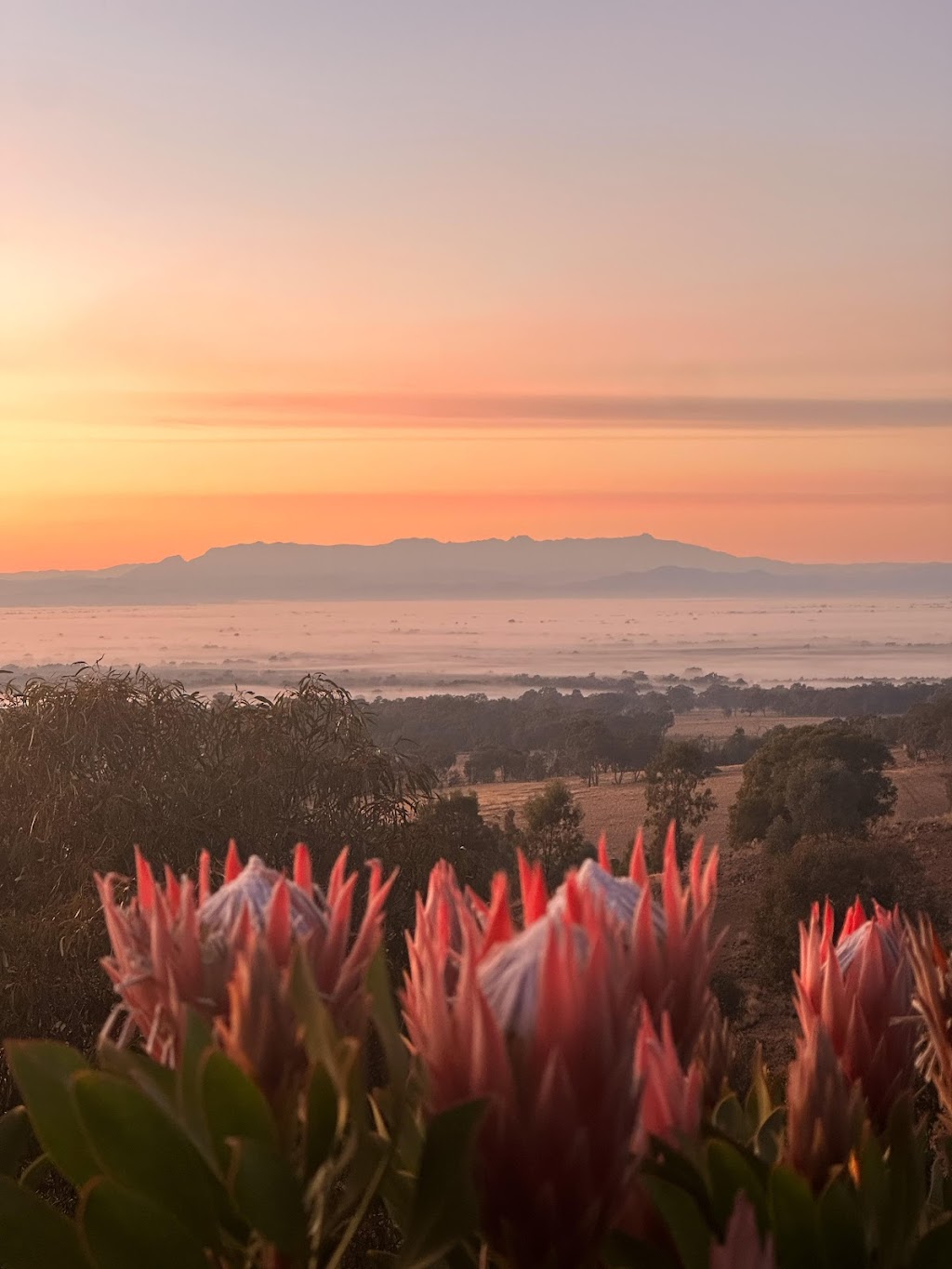 Sunrise Retreat Taminick | 426 Taminick Gap Rd, Wangaratta South VIC 3678, Australia | Phone: 0434 646 526