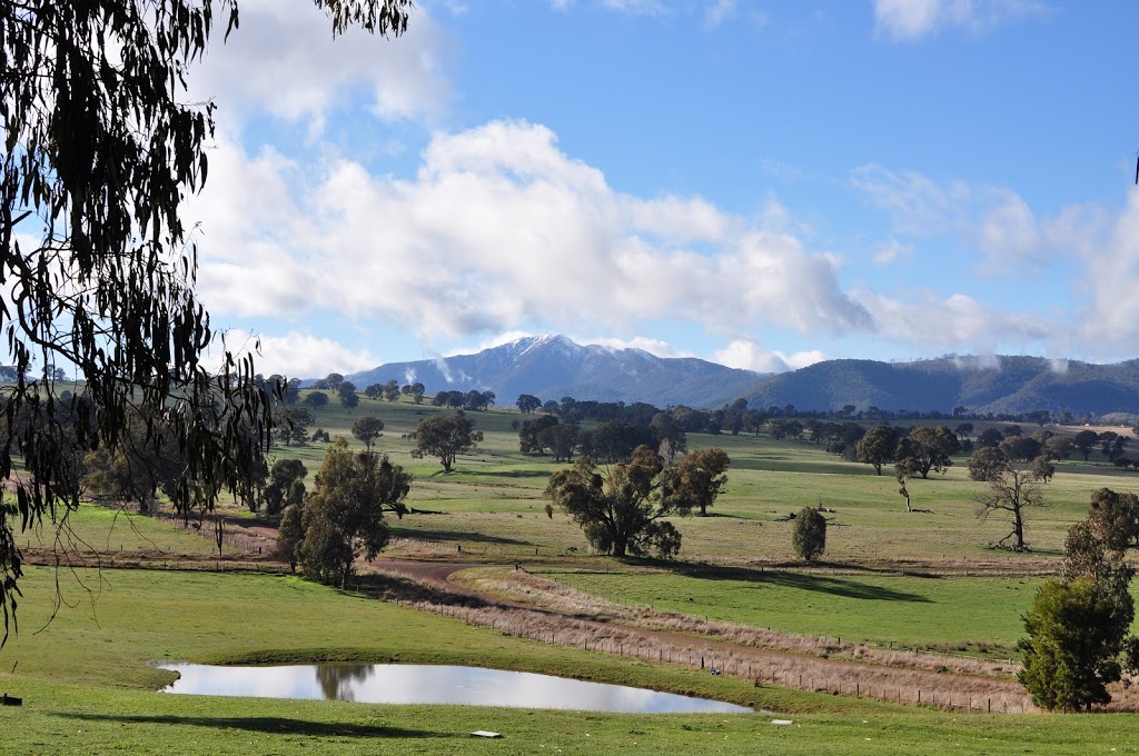 Bluegum Ridge Cottages | 434 Buttercup Rd, Merrijig VIC 3723, Australia | Phone: (03) 5777 5761