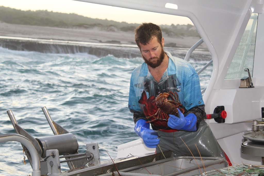 Kalbarri Offshore Adventures | 160 Grey St, Kalbarri WA 6536, Australia | Phone: 0427 010 976