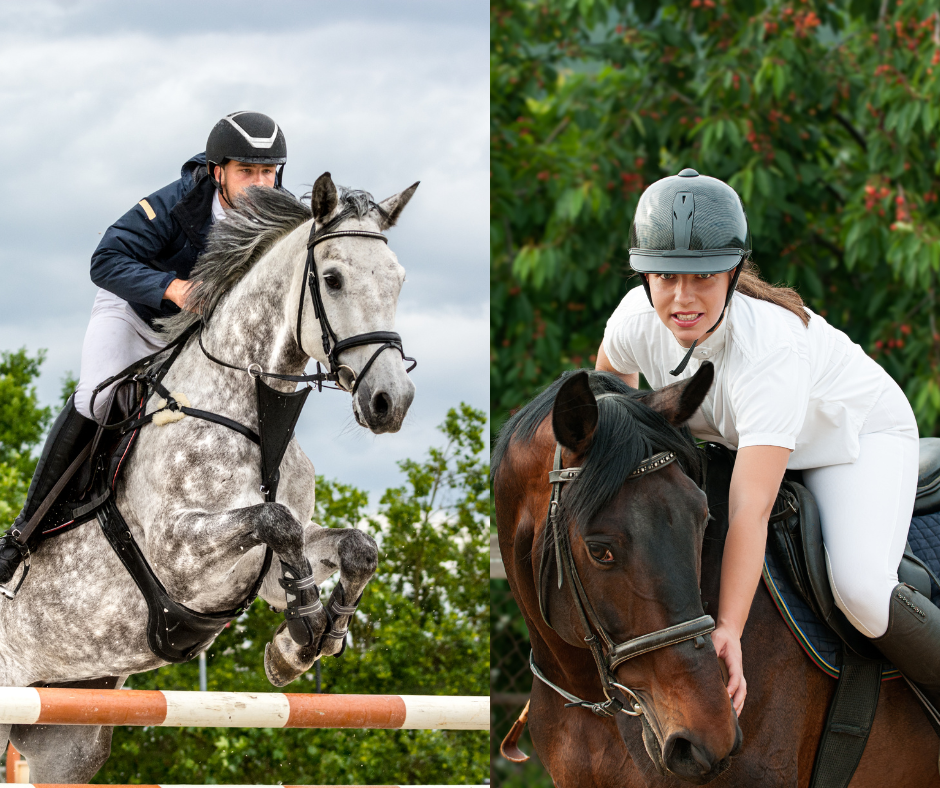 Evolve with Horse Coaching | 251 Old Hume Hwy, Glenrowan VIC 3675, Australia | Phone: 0419 513 788