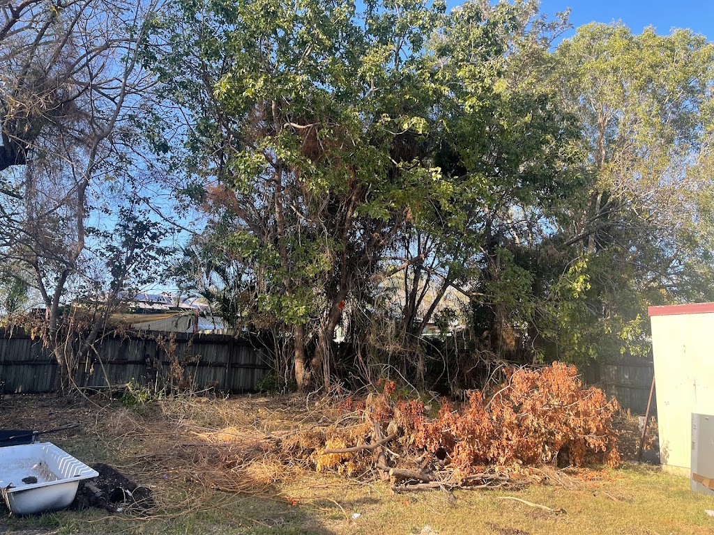 Limb Reaper | 19 Batman Dr, Redbank Plains QLD 4301, Australia | Phone: 0413 263 455