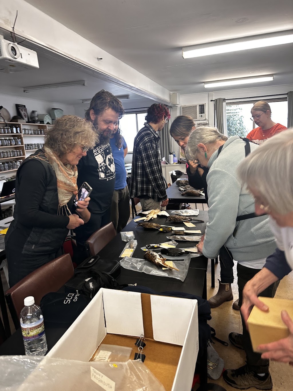 Ecoskills | 52 Western Port Hwy, Somerville VIC 3912, Australia | Phone: 0436 969 883