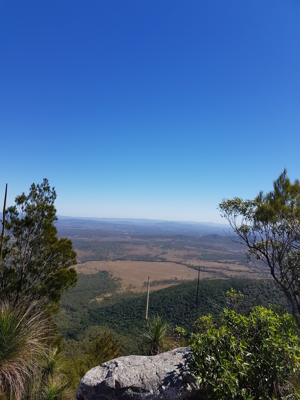 Mt Larcom Walking Trail | park | 91 Lynn Rd, Targinnie QLD 4694, Australia