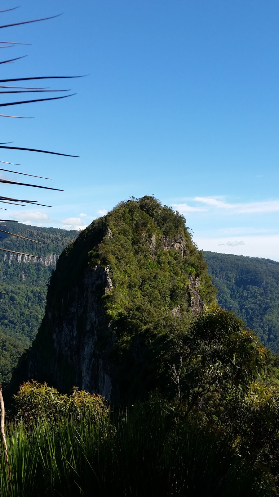 Mount Cougal | Currumbin Creek Rd, Currumbin Valley QLD 4223, Australia | Phone: 13 74 68