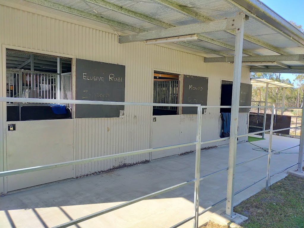 Zamunda Park Equine Services | 967 Stockleigh Rd, Stockleigh QLD 4280, Australia | Phone: 0427 166 164 Zamunda Park Equine Services | 967 Stockleigh Rd, Stockleigh QLD 4280, Australia | Phone: 0427 166 164