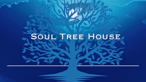 Soul Tree House | 131 Jones Rd, Somerville VIC 3912, Australia | Phone: 0424 953 003