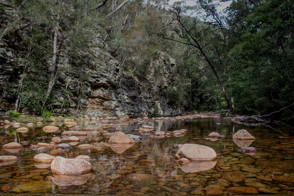 Wadbilliga National Park | park | Wadbilliga NSW 2546, Australia | 0264585900 OR +61 2 6458 5900