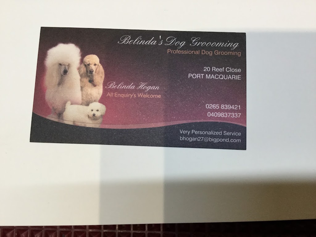 Belindas Dog Grooming | 20 Reef Cl, Port Macquarie NSW 2444, Australia | Phone: 0409 837 337