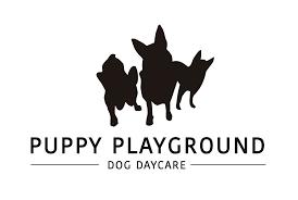 Puppy Play Ground | 42-44 Epsom Road, Zetland NSW 2017, Australia | Phone: 02 9663 3666