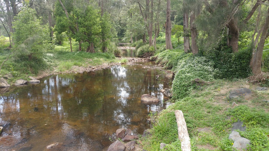 Harley Smith Reserve | park | 1318 Tallebudgera Creek Rd, Tallebudgera Valley QLD 4228, Australia