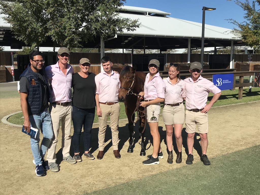 Rathmore Bloodstock & Lodge | 169 Bondleigh Rd, Rockleigh SA 5254, Australia | Phone: 0487 173 989