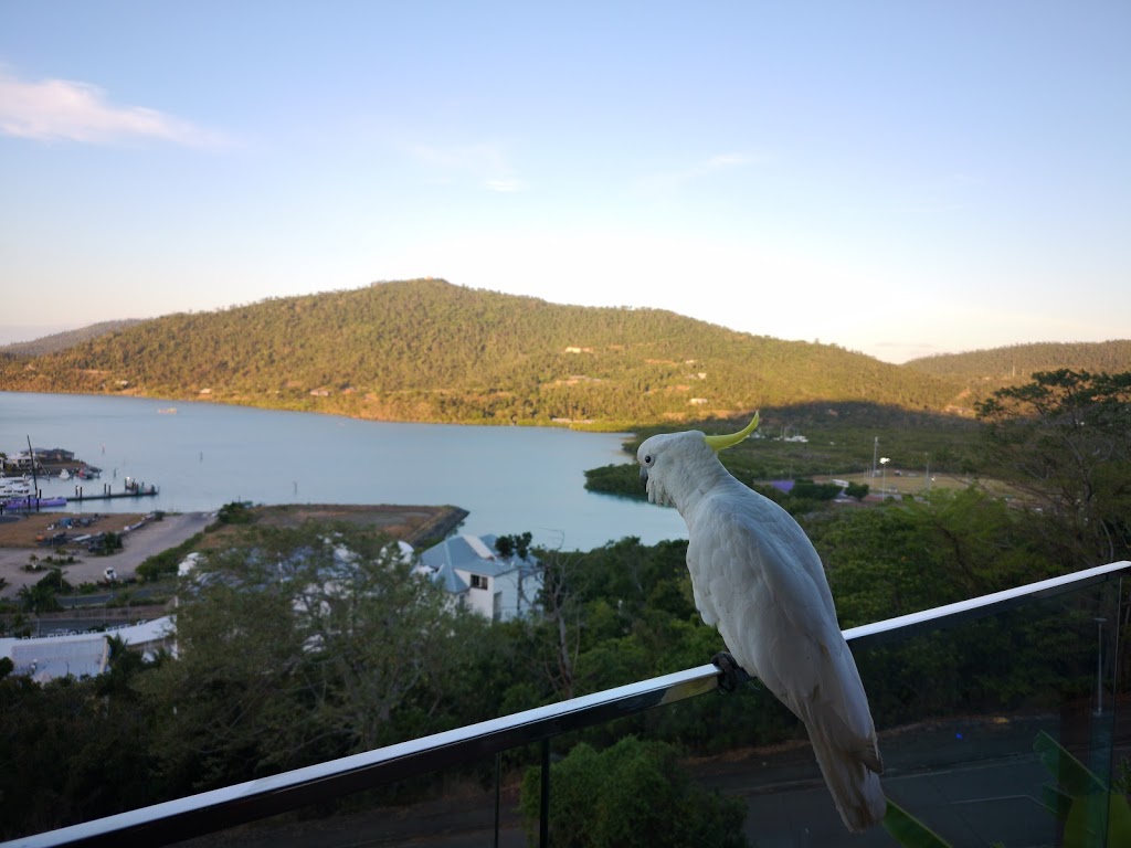 Elementa Whitsundays | lodging | Mount Whitsunday Cts37885, 9 Hermitage Dr, Airlie Beach QLD 4802, Australia