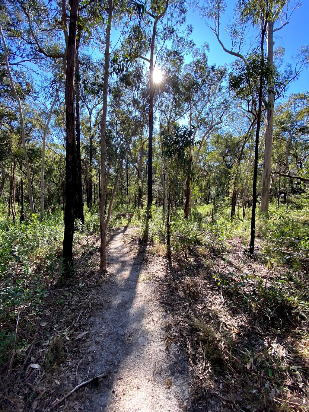 Mitchell Park Picnic Area | Creek Flat Rd, Maraylya NSW 2765, Australia | Phone: 1300 072 757