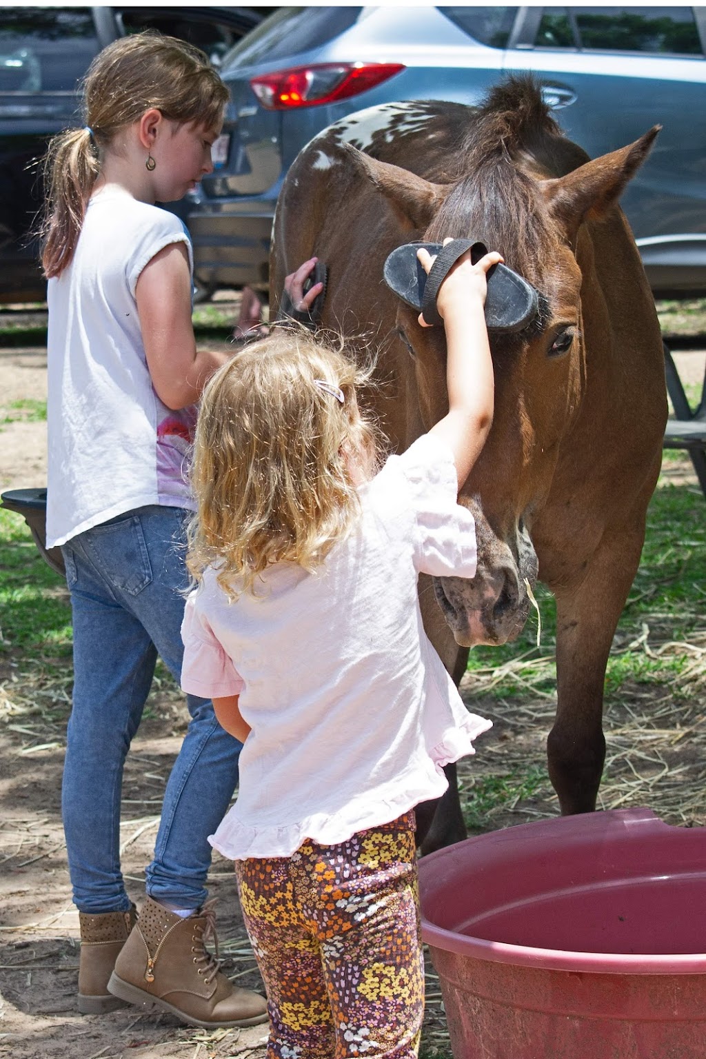 Millies Pony Paradise Riding School | 17 Eastwood Ct, Jimboomba QLD 4280, Australia | Phone: 0412 177 757