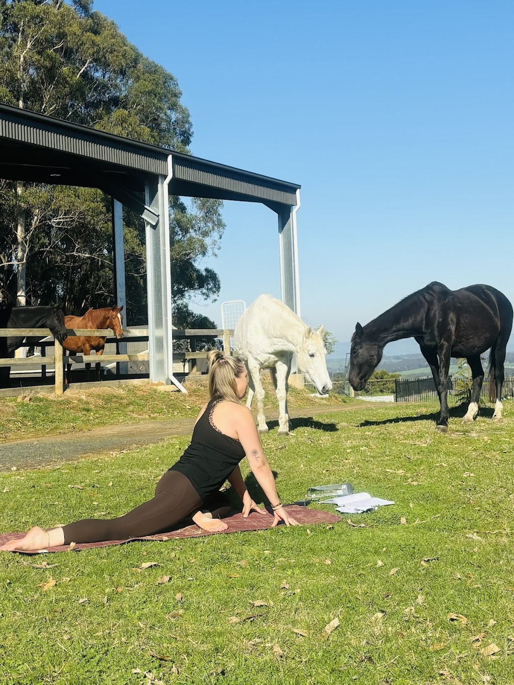 Whispering Gypsy Yoga & Wellness | 1001 Brandy Creek Rd, Rokeby VIC 3821, Australia | Phone: 0437 359 564 Whispering Gypsy Yoga & Wellness | 1001 Brandy Creek Rd, Rokeby VIC 3821, Australia | Phone: 0437 359 564