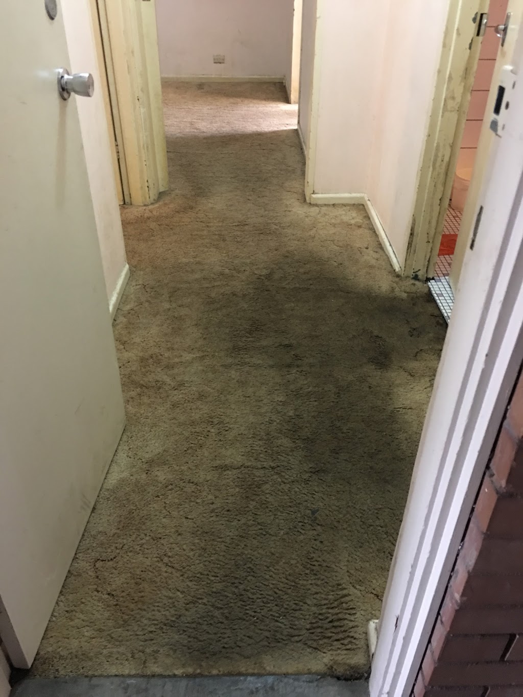 Melbourne Bond & Carpet Cleaning | Melbourne Bond & Carpet Cleaning, 29 York St, Glen Waverley VIC 3150, Australia | Phone: 0433 090 031