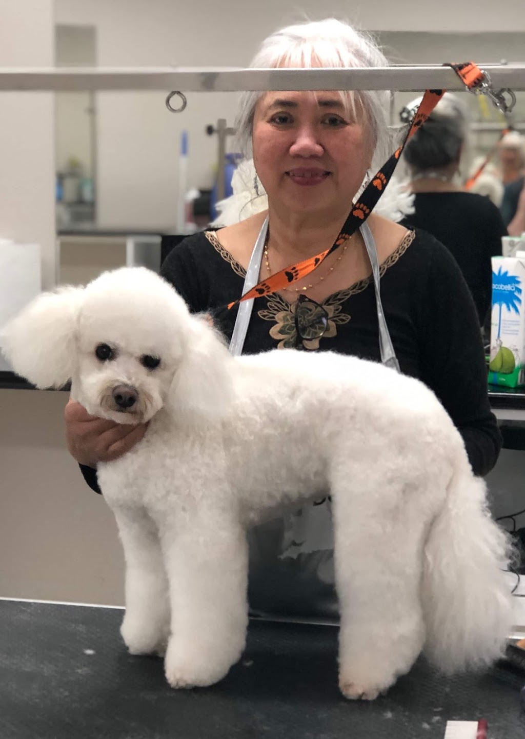 Puppy Love Pet Care Dog Grooming Melbourne |  | 43 Bryants Rd, Dandenong VIC 3175, Australia | 0468443468 OR +61 468 443 468