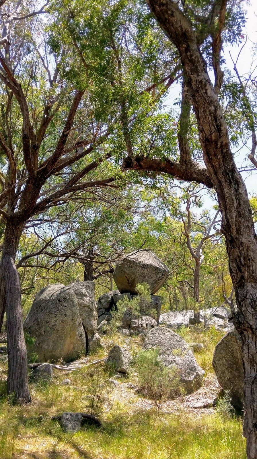 Mount Yarrowyck Nature Reserve | park | Yarrowyck NSW 2358, Australia