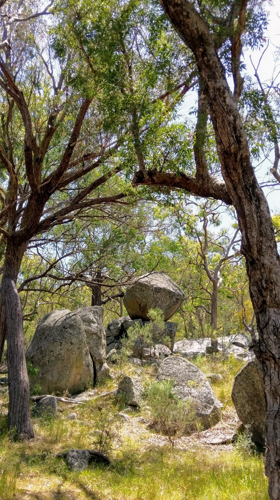 Mount Yarrowyck Nature Reserve | Yarrowyck NSW 2358, Australia