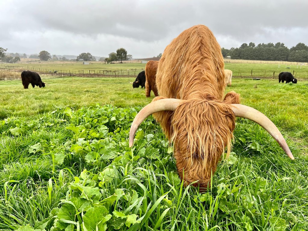 Cadzow Croft | 460 Chanters Ln, Fern Hill VIC 3458, Australia | Phone: 0450 484 700