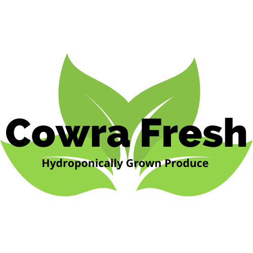 Cowra Fresh | food | 351 Glenlogan Rd, Cowra NSW 2794, Australia | 0448486436 OR +61 448 486 436