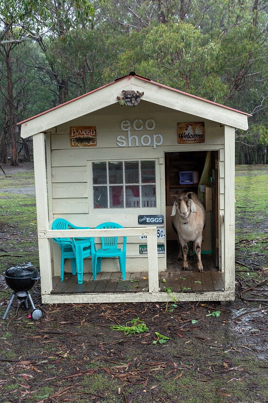 Morvern Valley Farm Cottages | 1 Grey Gum Ln, Bundanoon NSW 2578, Australia | Phone: (02) 4883 7057