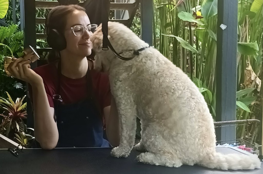 PJ’s Dog Grooming (Sapphire Beach, Coffs Harbour) | Lakeside Dr, Sapphire Beach NSW 2450, Australia | Phone: 0423 501 191