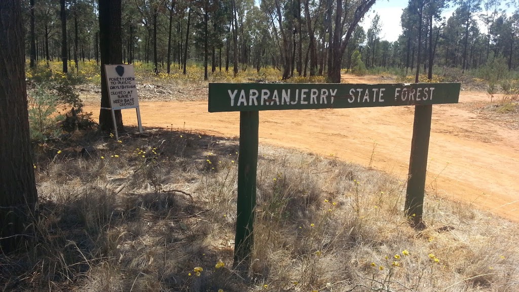 Yarranjerry State Forest | park | Walleroobie NSW 2665, Australia