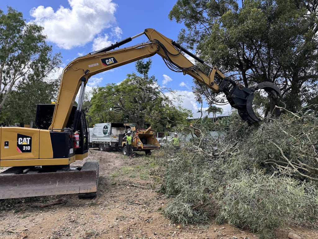 Bayside Trees & Palms | 69 Taylor Rd, Thornlands QLD 4163, Australia | Phone: 0451 785 940