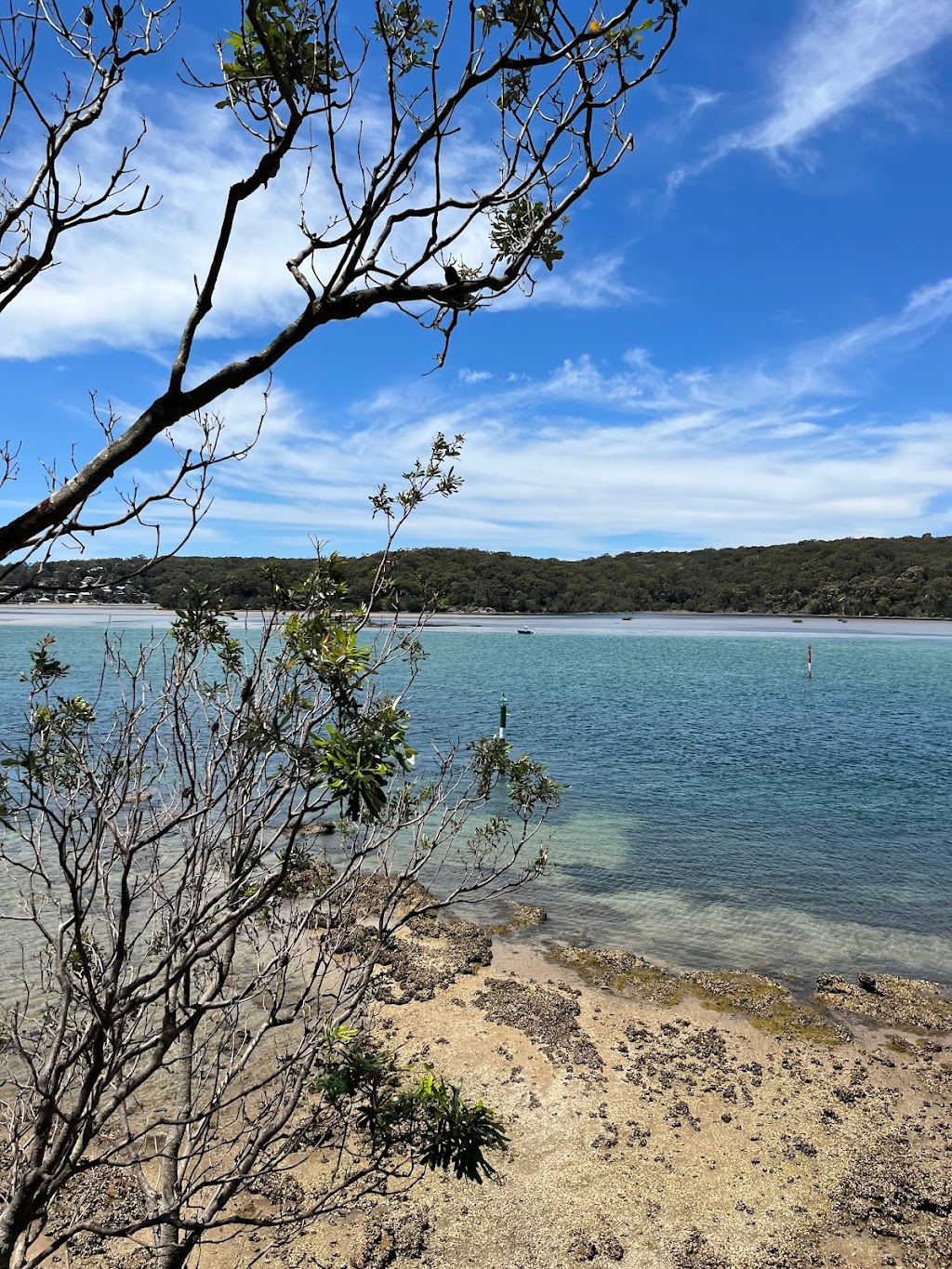 Land Eco Consulting | Unit 4f/6 Jubilee Ave, Warriewood NSW 2102, Australia | Phone: 0408 765 832