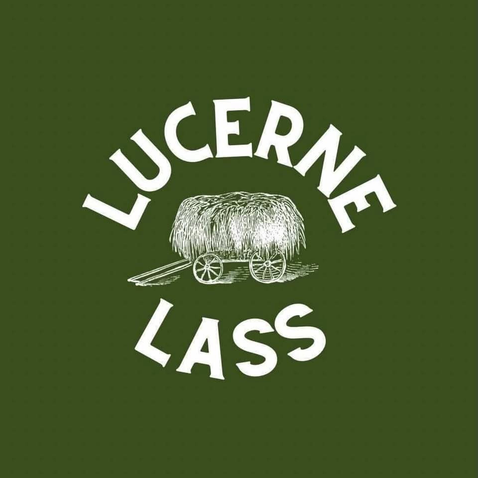 Lucerne Lass | 682 Nundle Rd, Piallamore NSW 2340, Australia | Phone: 0434 797 858