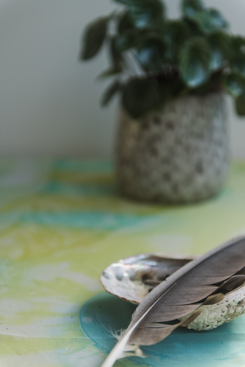 Wildheart Healing | The Healing Space, 3 Lymington Rd, Cygnet TAS 7112, Australia | Phone: 0406 037 068
