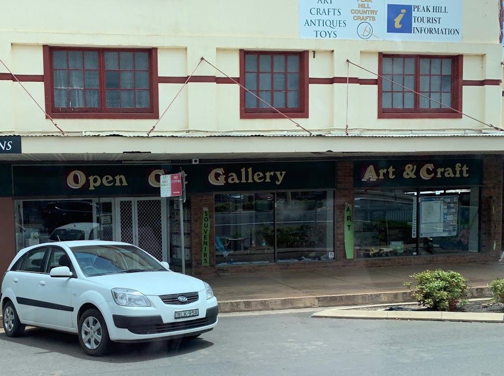 Peak Hill Country Crafts | store | 62 Caswell St, Peak Hill NSW 2869, Australia | 0268691981 OR +61 2 6869 1981