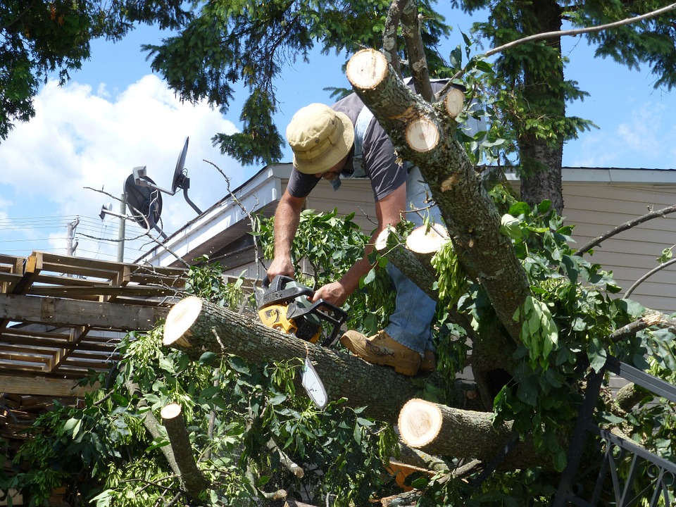 Country Vic Tree Removal | 33 Hastie St, Tatura VIC 3616, Australia | Phone: 0455 365 659