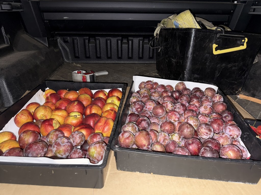 OrKID Mix | 295 Woodleigh-st Helier Rd, The Gurdies VIC 3984, Australia | Phone: 0449 992 236