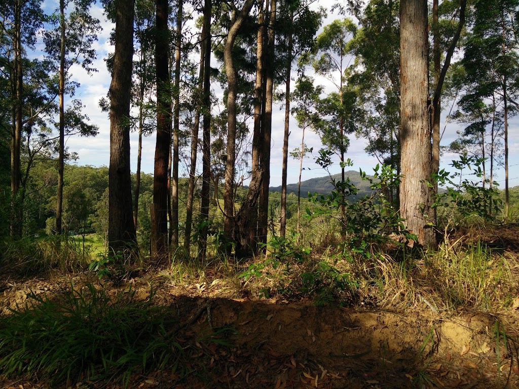 Crohamhurst Conservation Park | Peachester QLD 4519, Australia