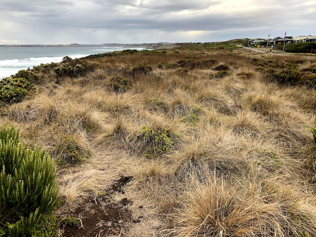 Special Shorebirds Conservation Area Phillip Islands | Surf Beach VIC 3922, Australia