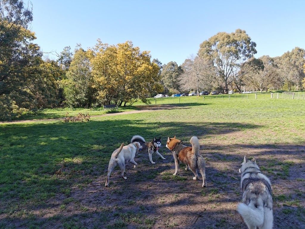 Banksia Park Off Leash Dog Park | park | Unnamed Road, Bulleen VIC 3105, Australia