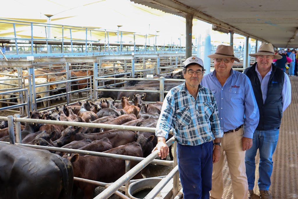 Peter Milling & Company - Livestock & Real Estate Agents Dubbo | 105-107 Macquarie St, Dubbo NSW 2830, Australia | Phone: (02) 6882 3544