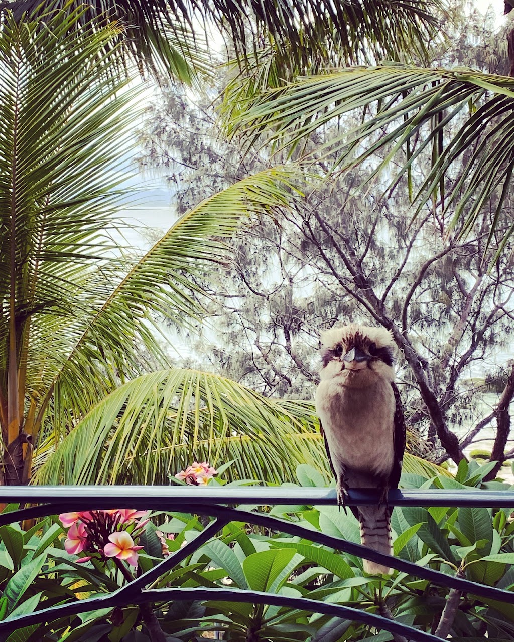 Panorama Wategos | Wategos Beach, 29 Marine Parade, Byron Bay NSW 2481, Australia | Phone: 0406 127 940