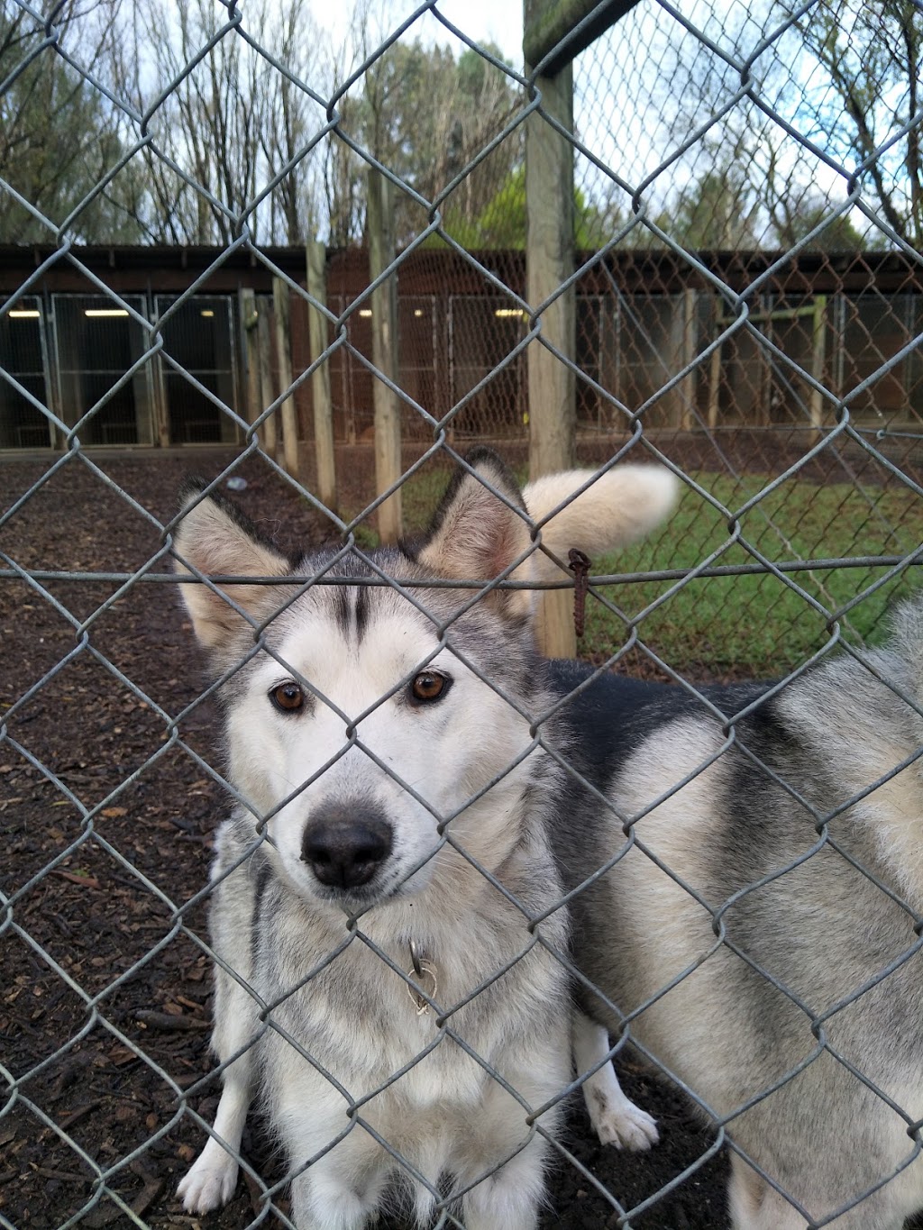 Tackens Farm. All Animal Accommodation | 182 Tackens Rd, Fulham VIC 3851, Australia | Phone: (03) 5149 2428