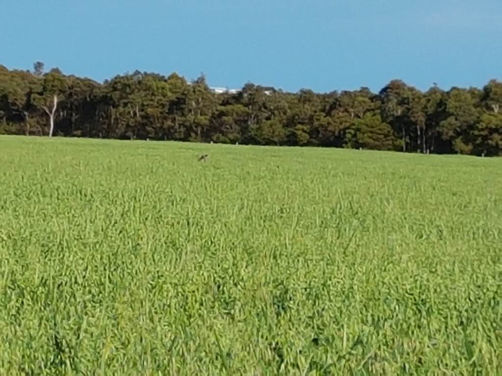 Linger Longer Cottages | 53 Mentone Rd E, Hayborough SA 5212, Australia | Phone: 0417 829 201