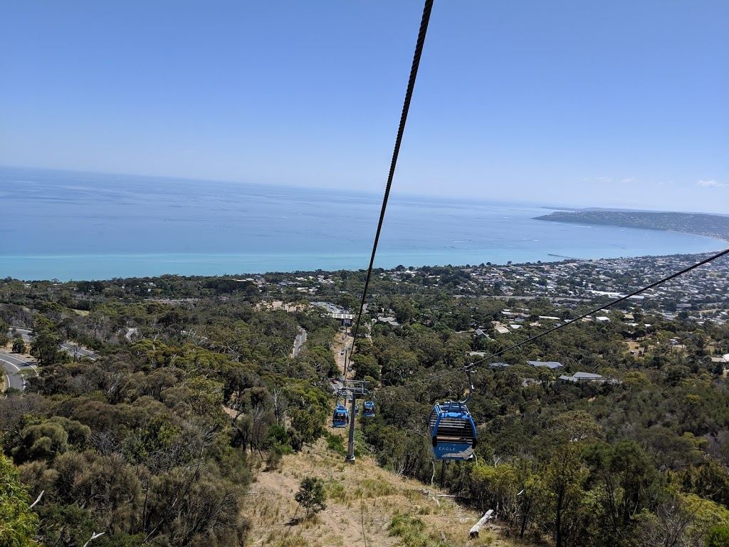 Ridge Rider Hop On Hop Off | 776 Arthurs Seat Rd, Arthurs Seat VIC 3936, Australia | Phone: 0447 037 646