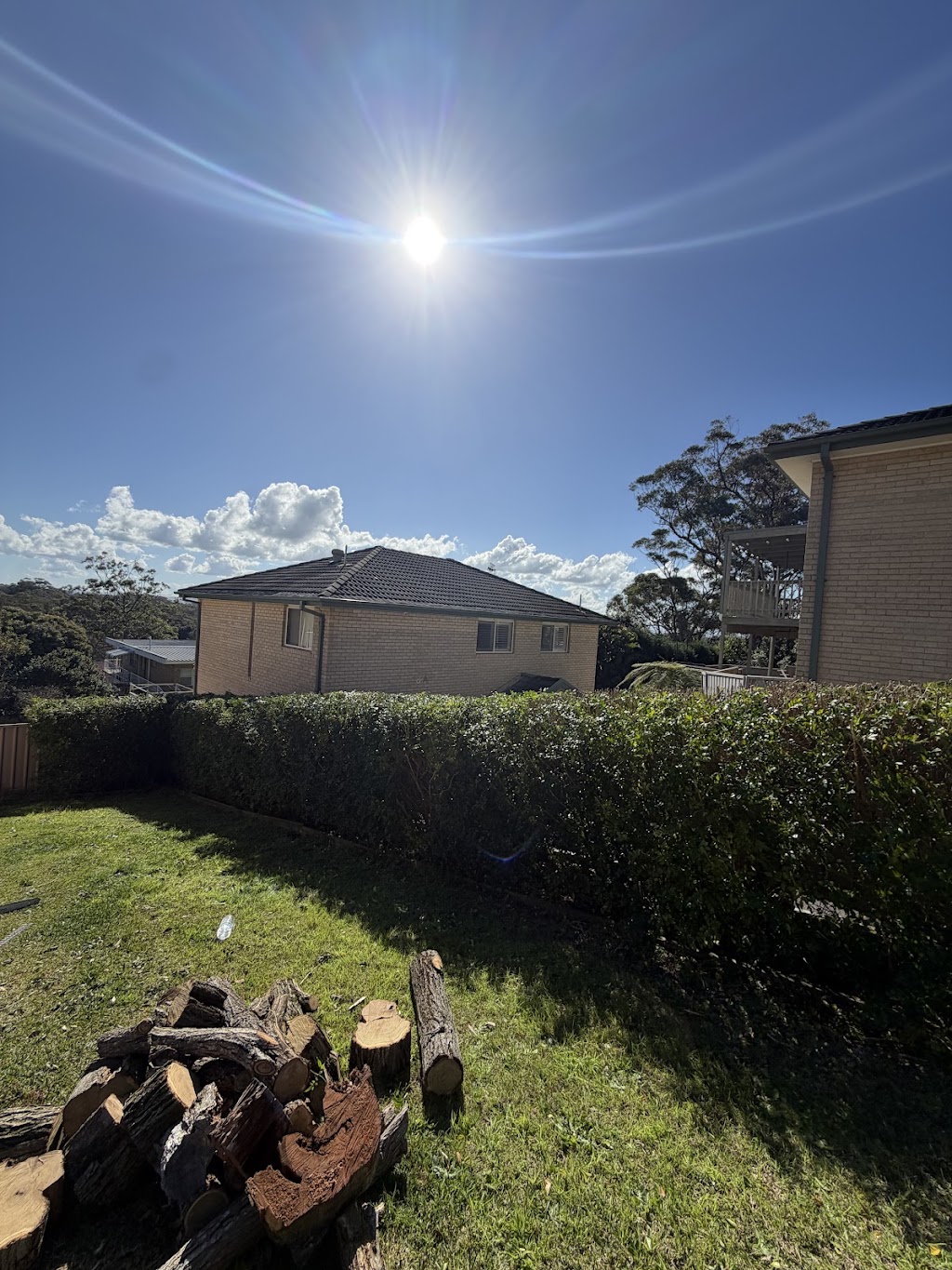 Davies tree services | 116 Bagnall Beach Rd, Corlette NSW 2315, Australia | Phone: 0432 739 097