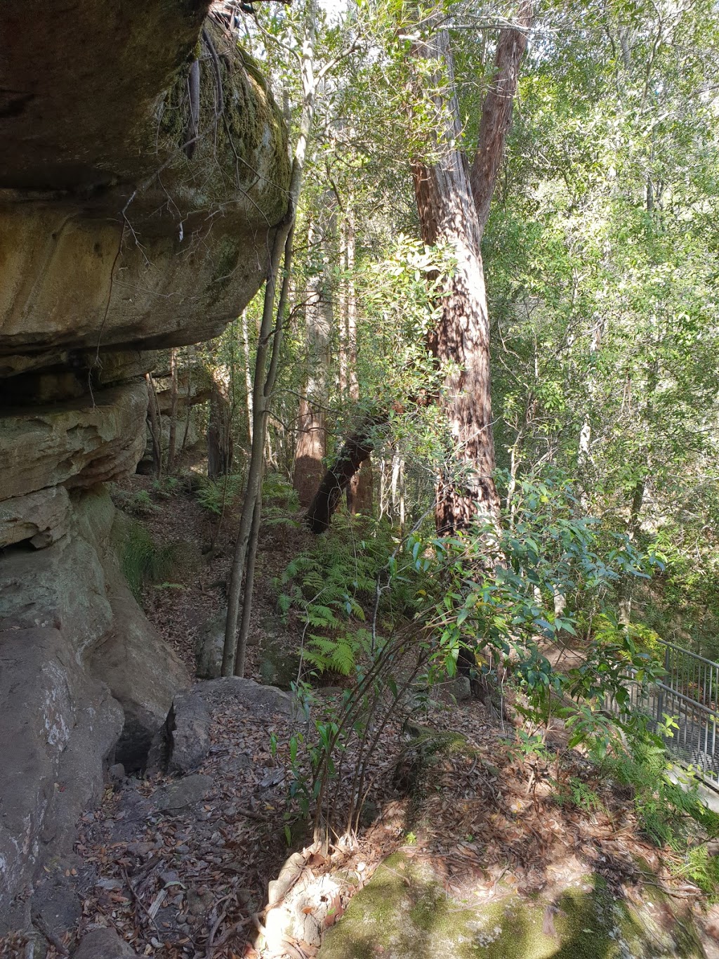 Falcon Crescent Link Track | park | Falcon Crest Walking Track, North Nowra NSW 2541, Australia | 1300662808 OR +61 1300 662 808