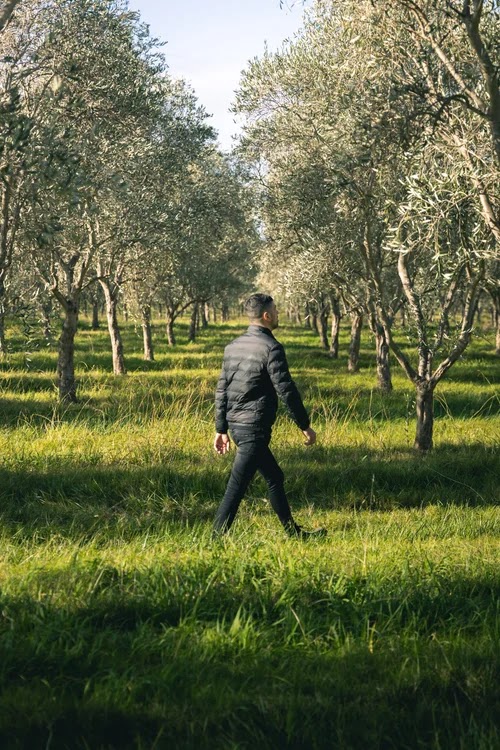 Olive Valley | 25 Mount Ararat S Rd, Nar Nar Goon VIC 3812, Australia | Phone: (03) 5942 5883