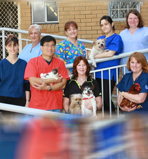 Peakhurst Vet Clinic & Small Animal Hospital | veterinary care | 709 Forest Rd, Peakhurst NSW 2210, Australia | 0291537614 OR +61 2 9153 7614