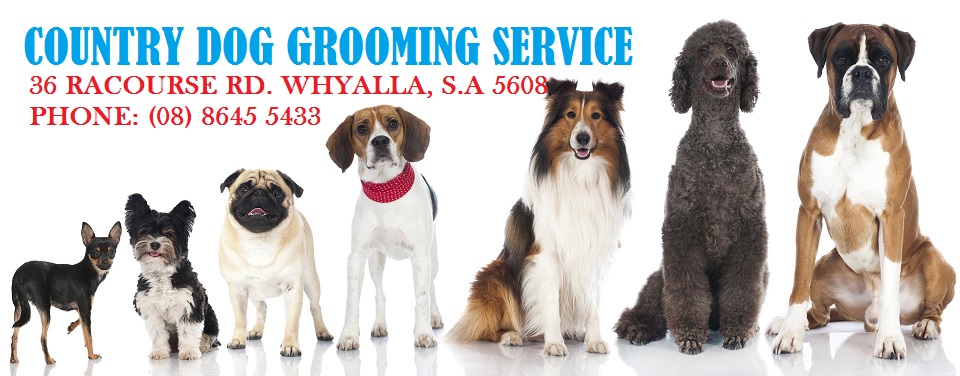 Country Pets & More | store | 36 Racecourse Rd, Whyalla Norrie SA 5608, Australia | 0886455433 OR +61 8 8645 5433